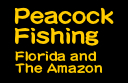 Peacock Fishing - Florida and The Amazon